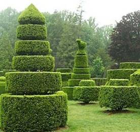 Topiary